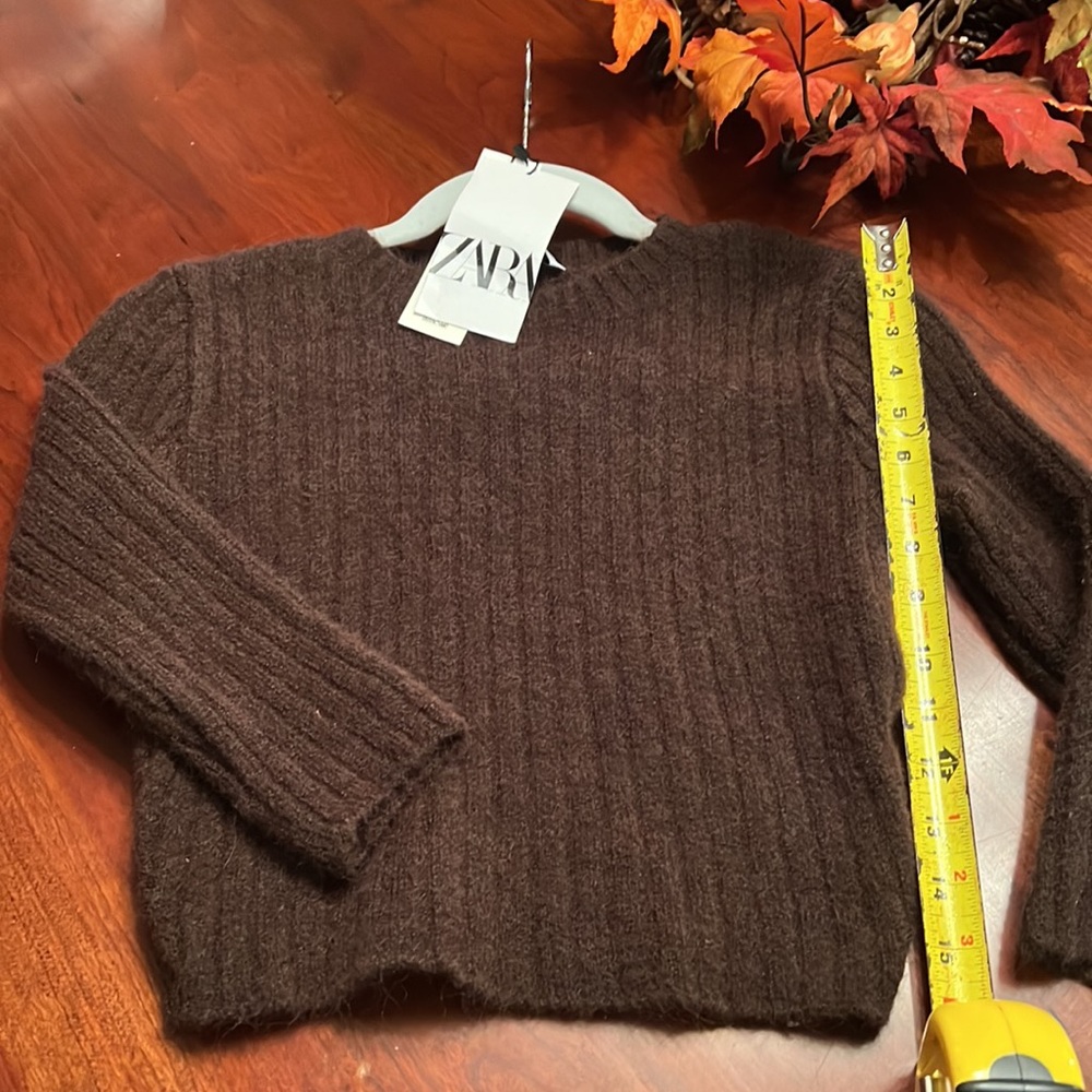 Zara Sweater!